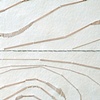 Detail #1 of Nature of the Grain