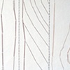 Detail #3 of Nature of the Grain