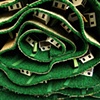 Detail #1 of Uprooted