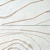 Nature of the Grain
