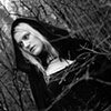 Into the woods