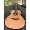 Sitka & Cocobolo Grand Auditorium