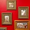Family Portraits