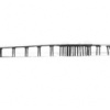 the plank