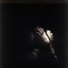 hands closed