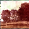 fairmount