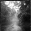 pennypack fog
