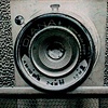 lomo