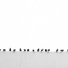 line up