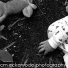 frogs