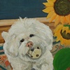 Phoebe