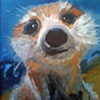 Meerkat 2007
