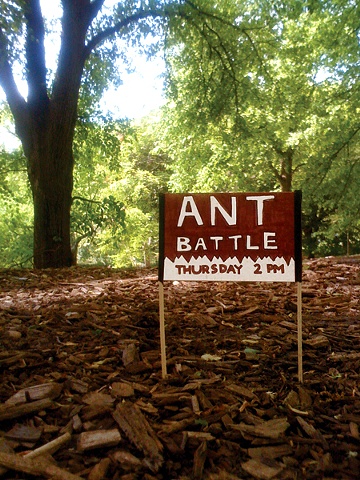 ANT BATTLE