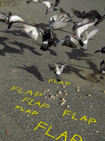 FLAP