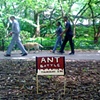 ANT BATTLE