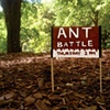 ANT BATTLE