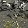 FLAP