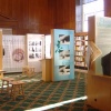 Memory traveling exhibition