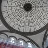 museum portfolio