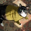 Feline Sweater