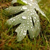 Digital Photography
