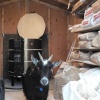 Lucy in the Kiln Shed