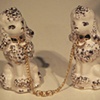 Spaghetti Poodles