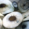 Little Benedictions (detail)