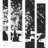 Synesthesia 4; The Crash Cycle