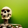 Skully