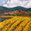 Sunflowers in September
