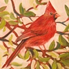 Cardinal