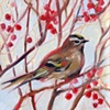 Winterberry