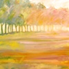 Colorscape: Morning Light