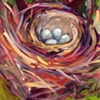 Birdies