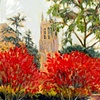Duke Chapel in the Fall