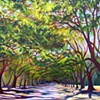 Dance of the Oaks