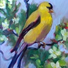 Birdies