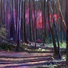 Trail Blaze