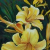 Yellow Morning