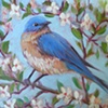 Sing Me to Spring