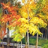 Neighborhood Arrangement in Gold