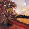 Colorscape: Red Scorch