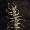 Robot Centipede Brooch - Dark2