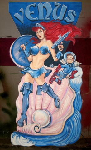 Venus Bar Cutout