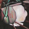 Head Hunter Still Life   (sold)