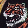 Zebra and Tiger Banners for MUMBO
