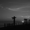 Monochrome Set