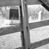 Behind the Gate
