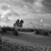 Dunes